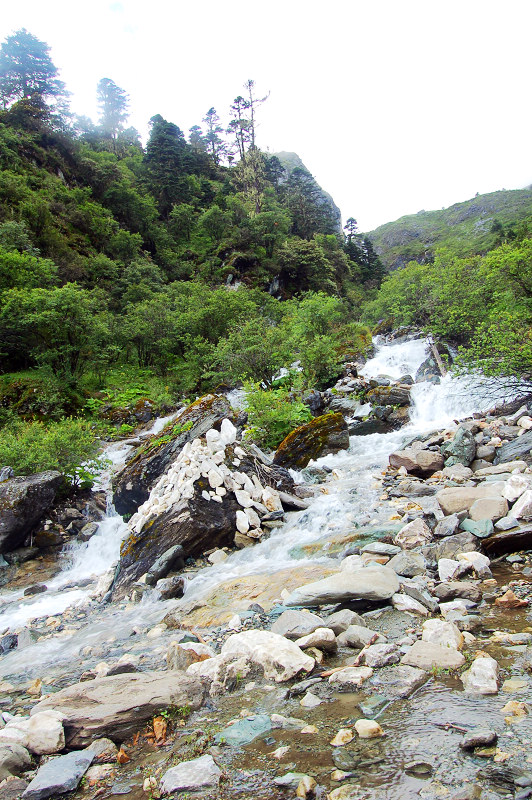 dsc_8733.jpg