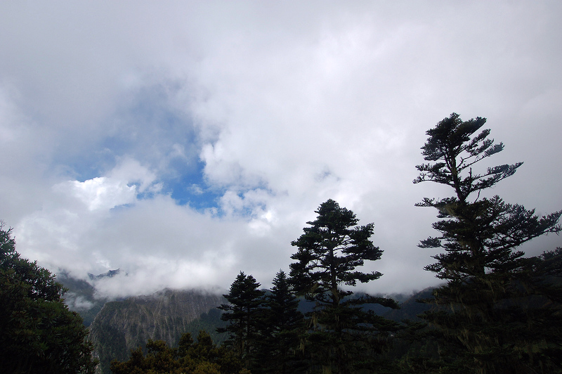 dsc_8731.jpg