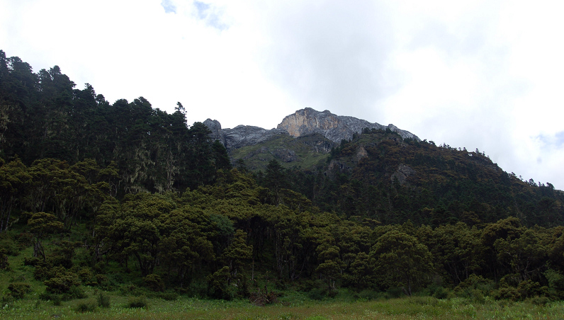 dsc_8749.jpg