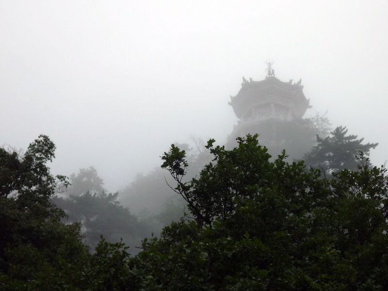 p1040010.jpg