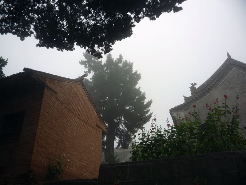 p1040010.jpg
