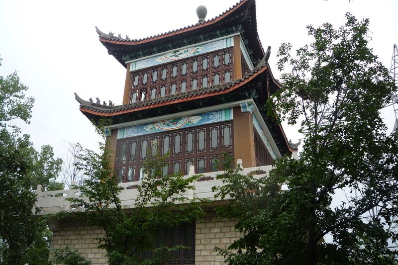 p1040010.jpg
