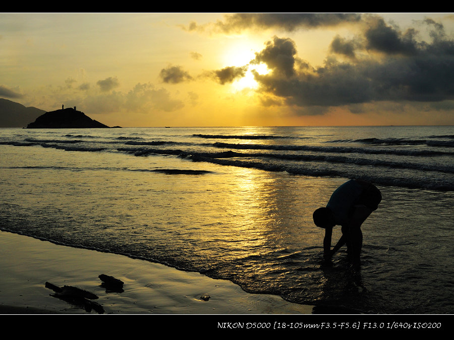 dsc_0487.jpg