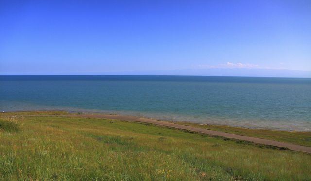 img_0690.jpg