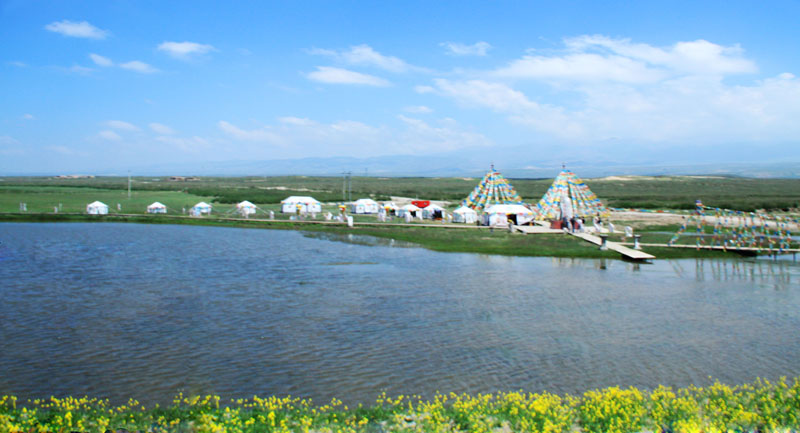 复件 img_2081.jpg
