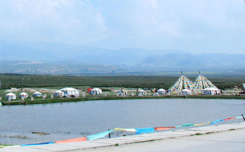 复件 img_2082.jpg