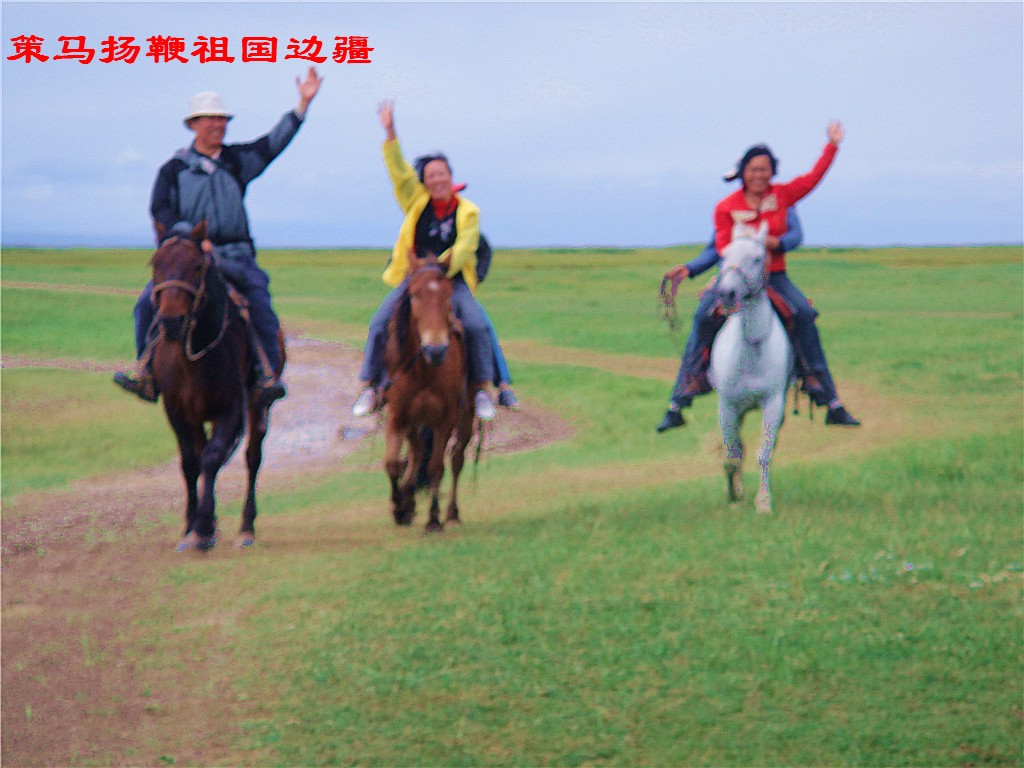 dsc00526_副本.jpg