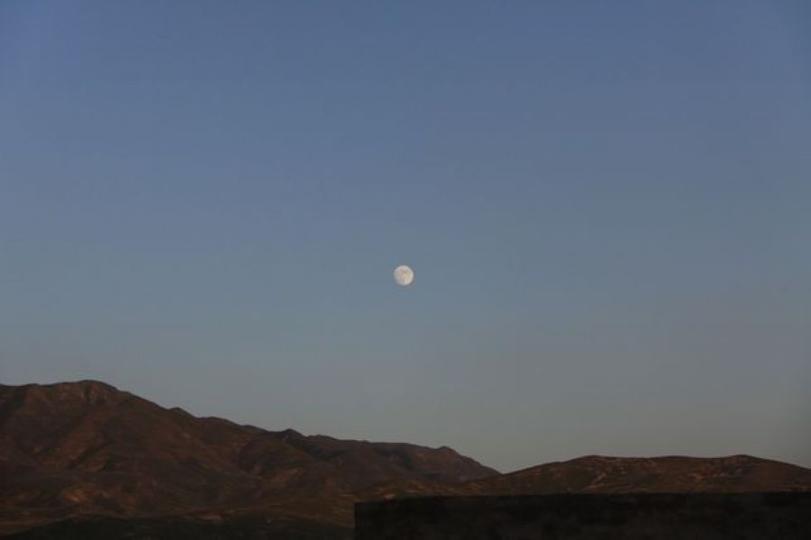 img_0713.jpg