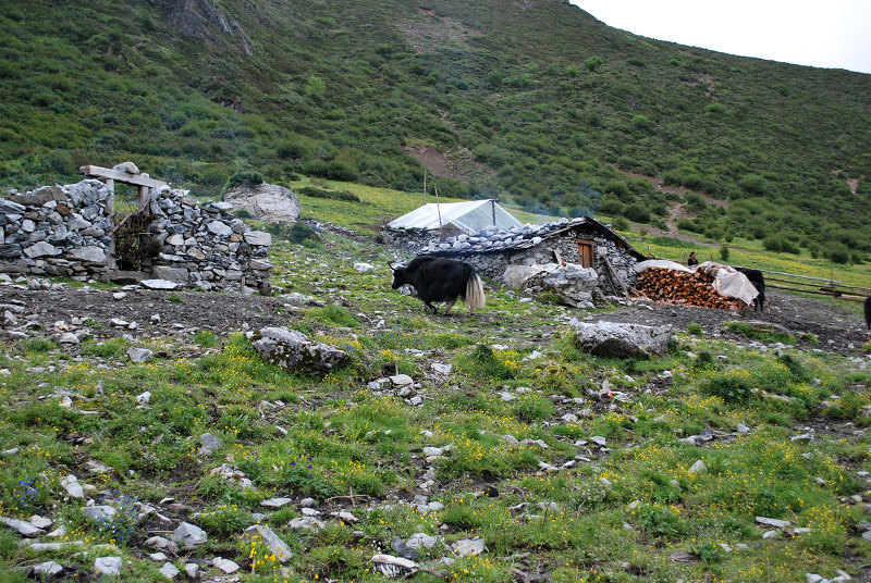 dsc_0390.jpg