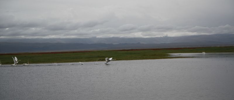 img_7393.jpg