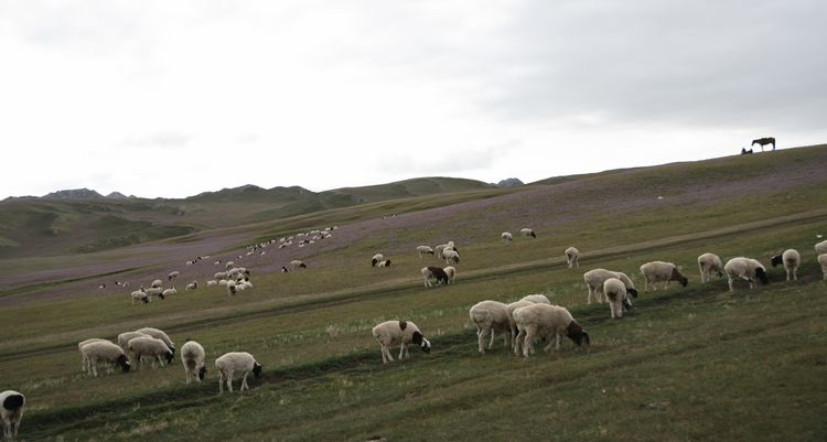 img_7373.jpg