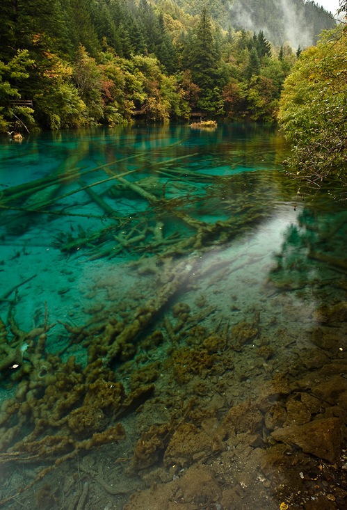 九寨沟11.jpg