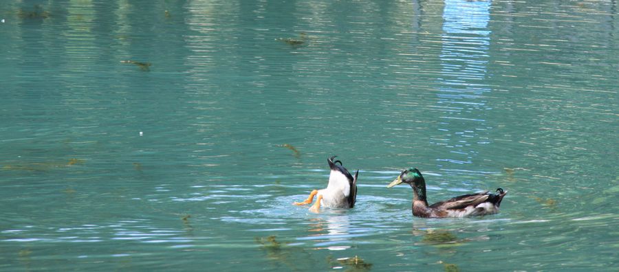img_1391.jpg