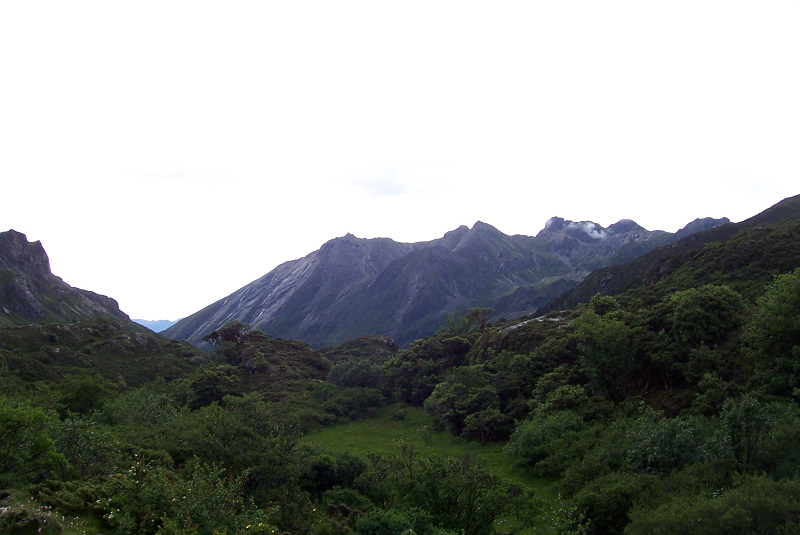 100_2216.jpg