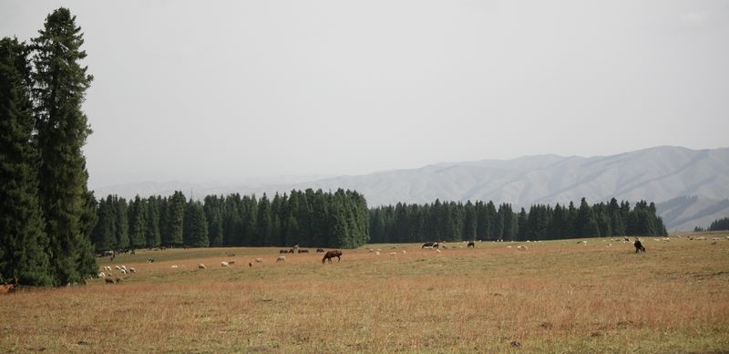 img_7432.jpg