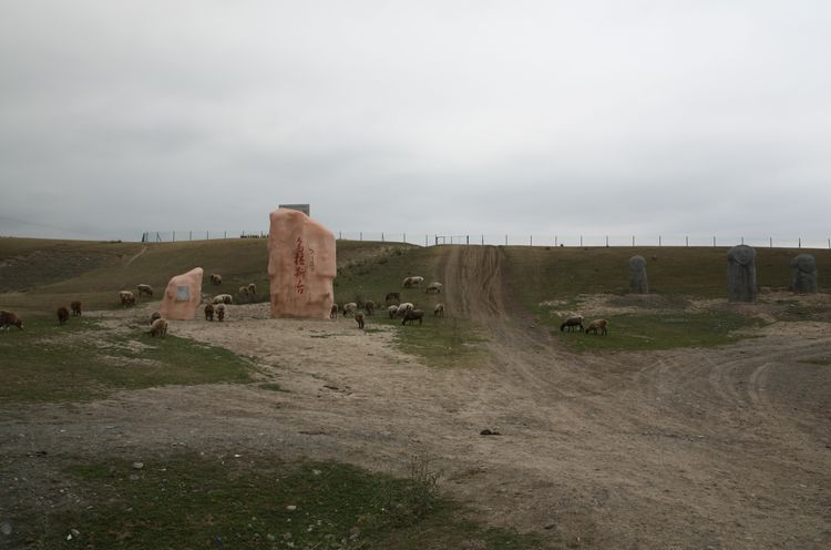 img_7525.jpg