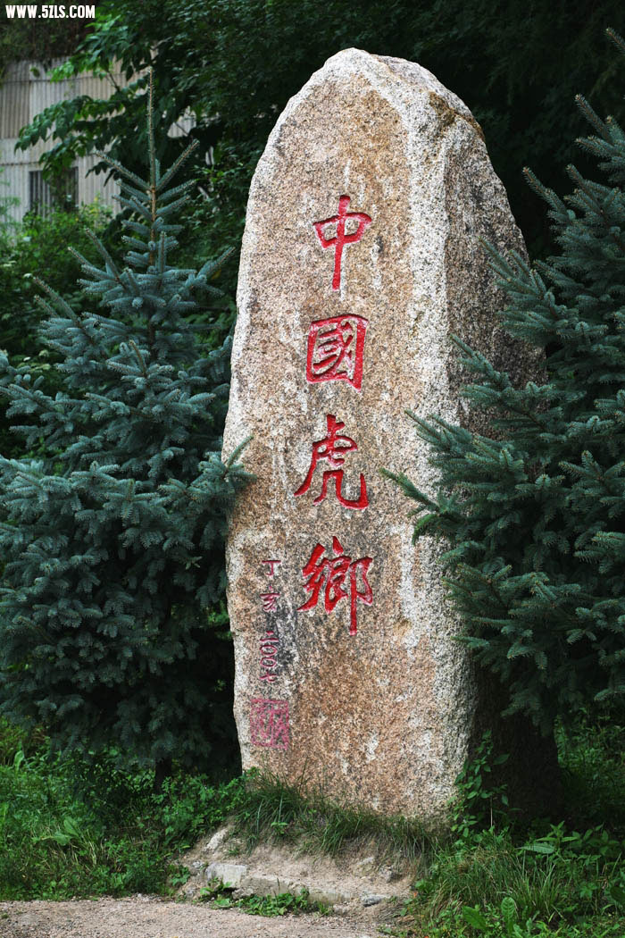 100824114871594ad6f77ad747.jpg
