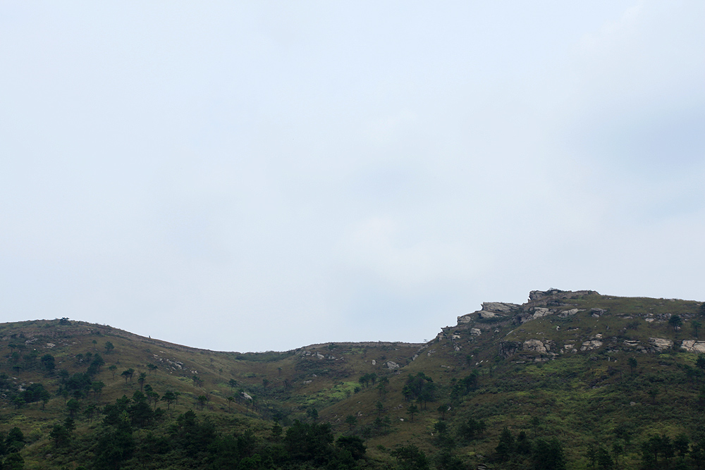 img_6161.jpg