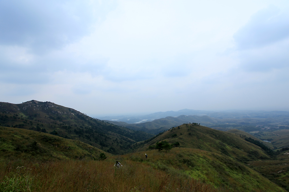 img_6170.jpg