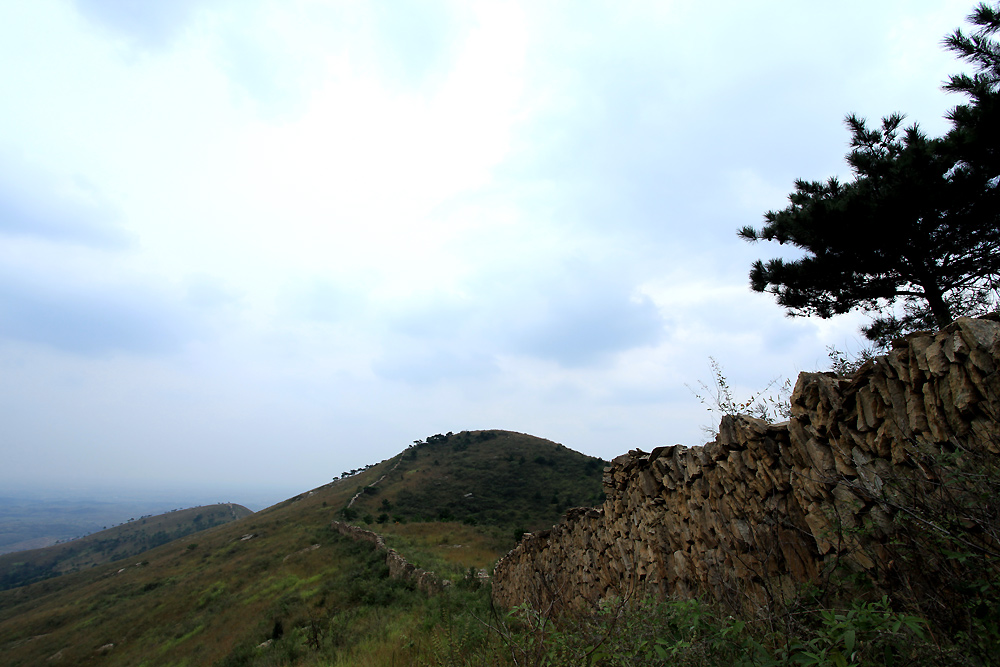 img_6171.jpg