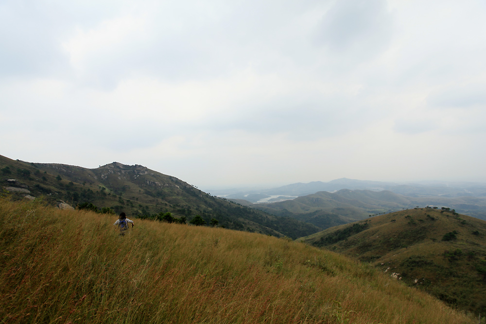img_6185.jpg