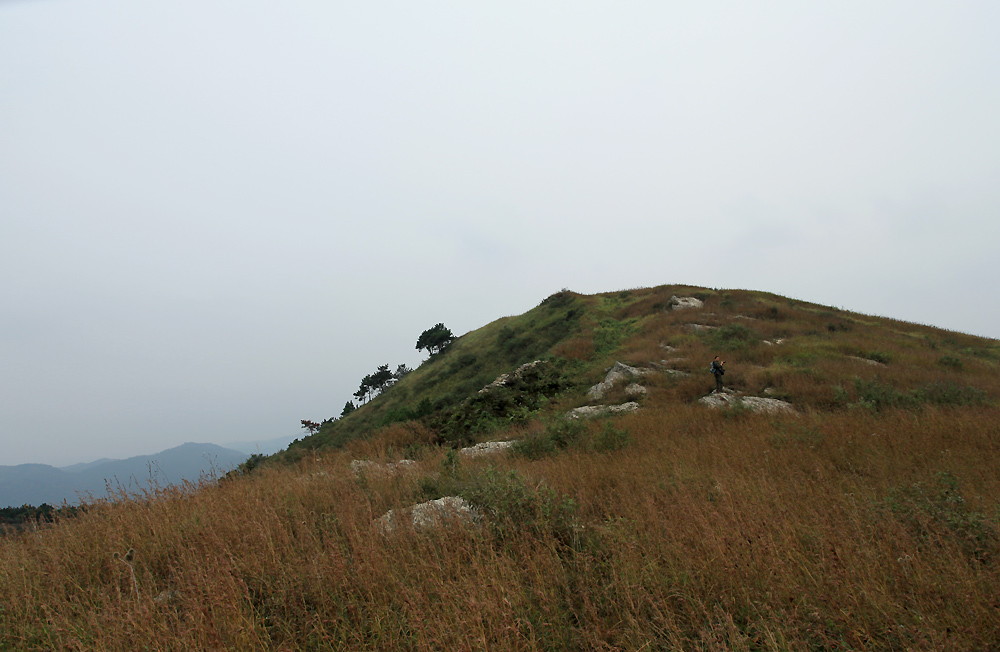 img_6213.jpg