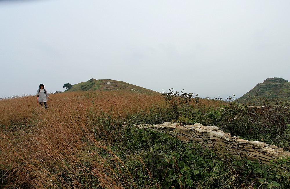 img_6215.jpg