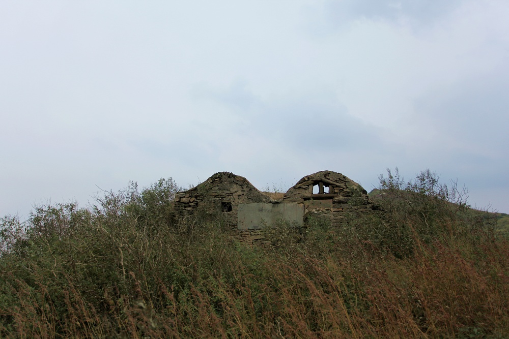 img_6233.jpg