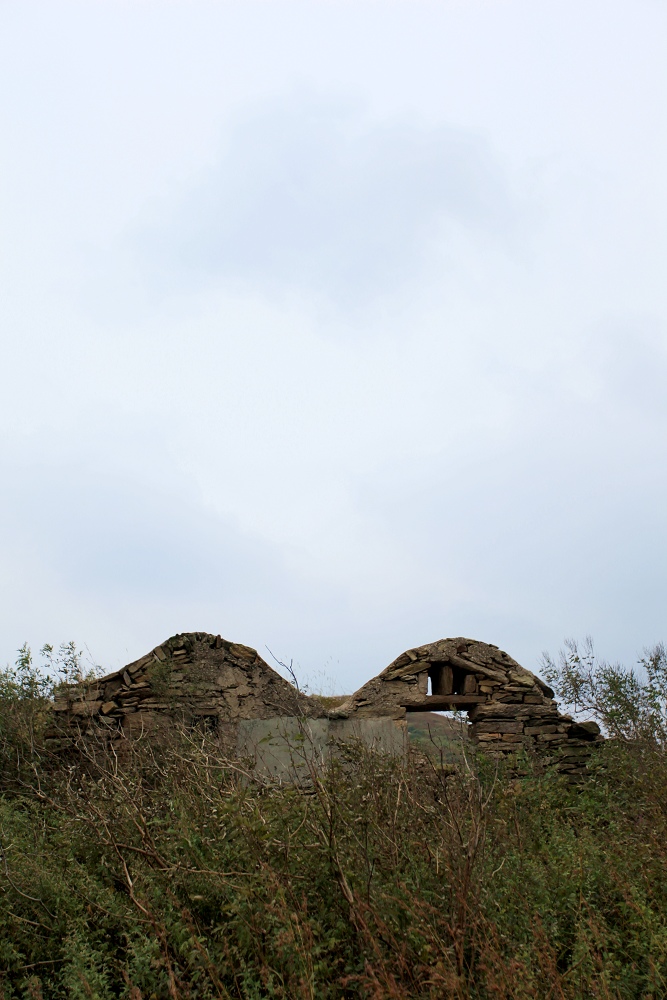 img_6235.jpg