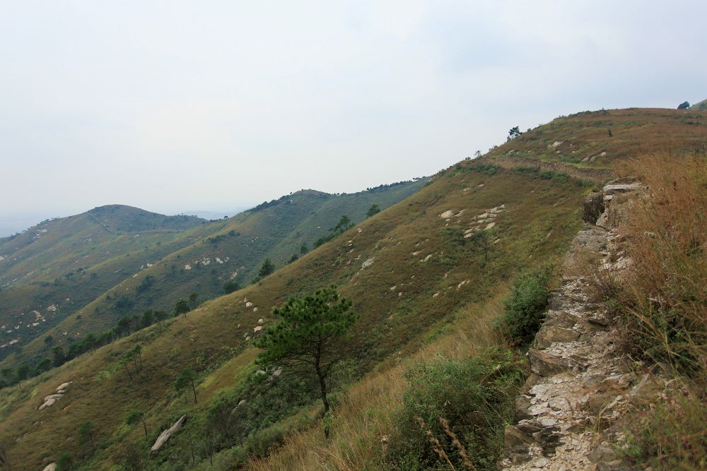 img_6240.jpg