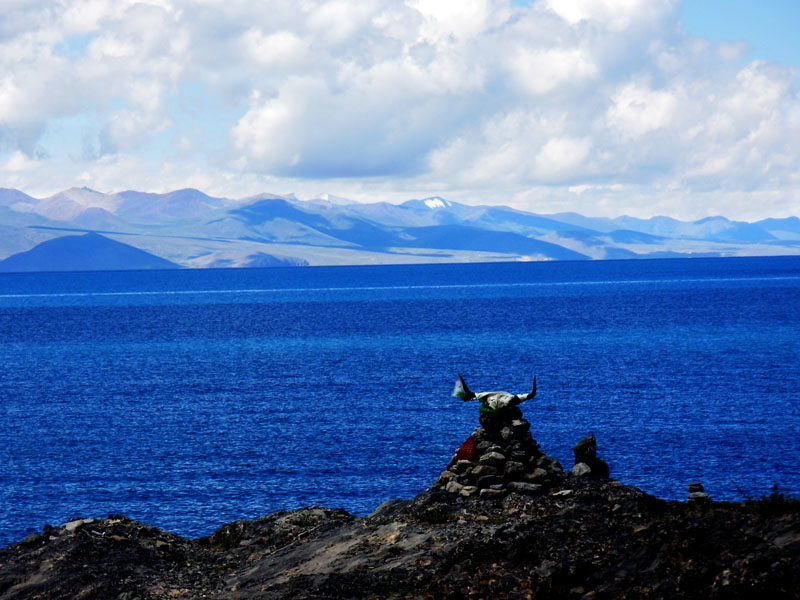 dscn5929 .jpg