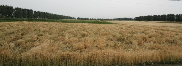 img_7411.jpg