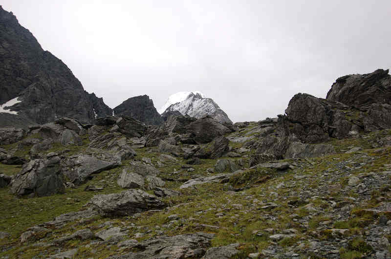 dsc_8867.jpg
