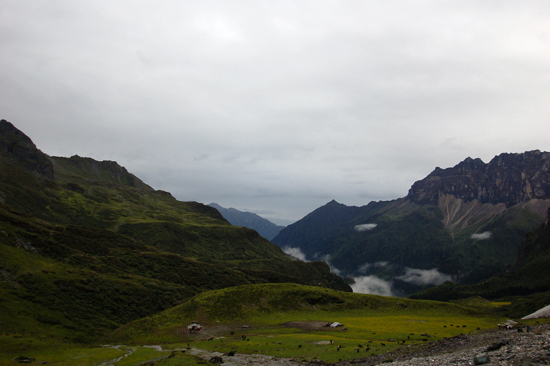 dsc_8906.jpg