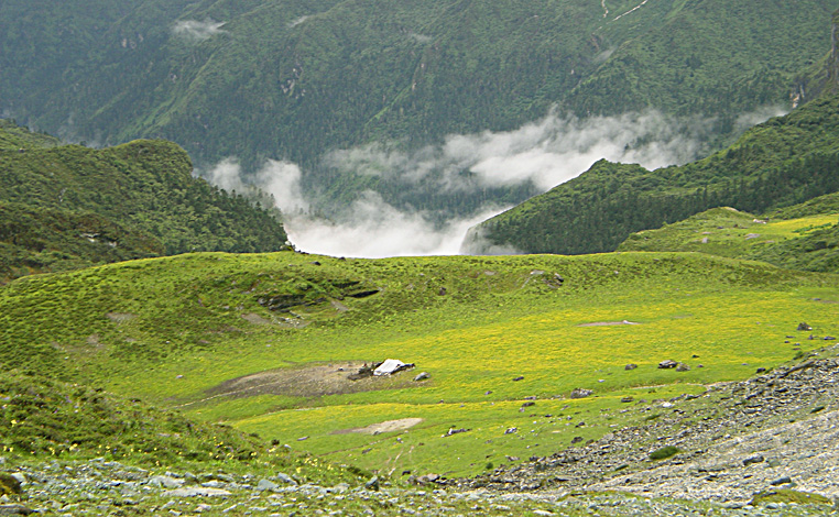 dscn0808.jpg