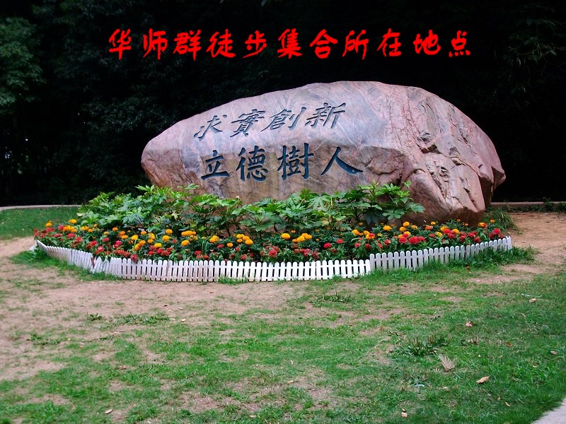 alim35555.jpg