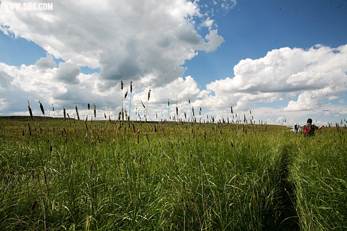 1007291005a9b00e5bde27dac9.jpg