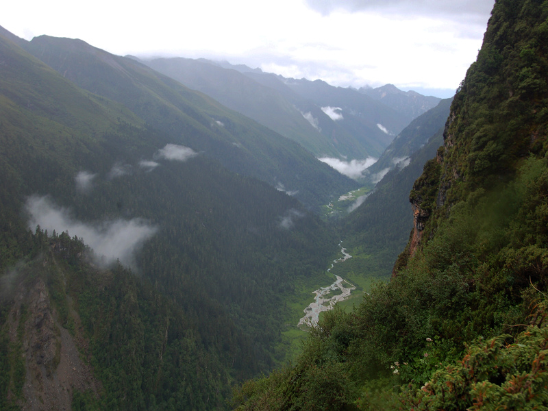 dsc_8933.jpg