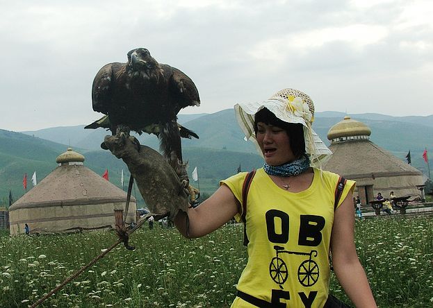 dscf6960.jpg