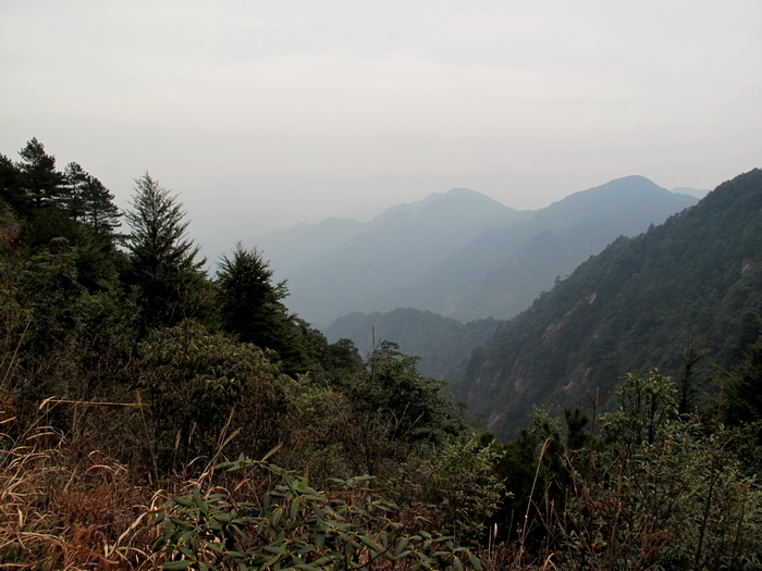 img_0063_调整大小.jpg