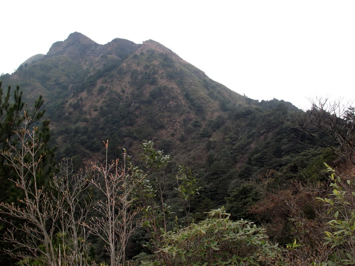 img_0064_调整大小.jpg