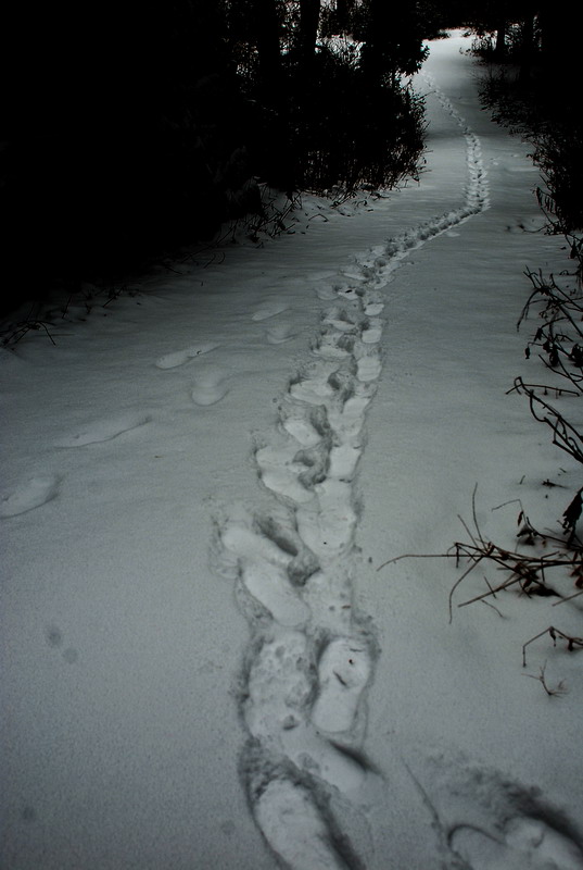 dsc_0178.jpg