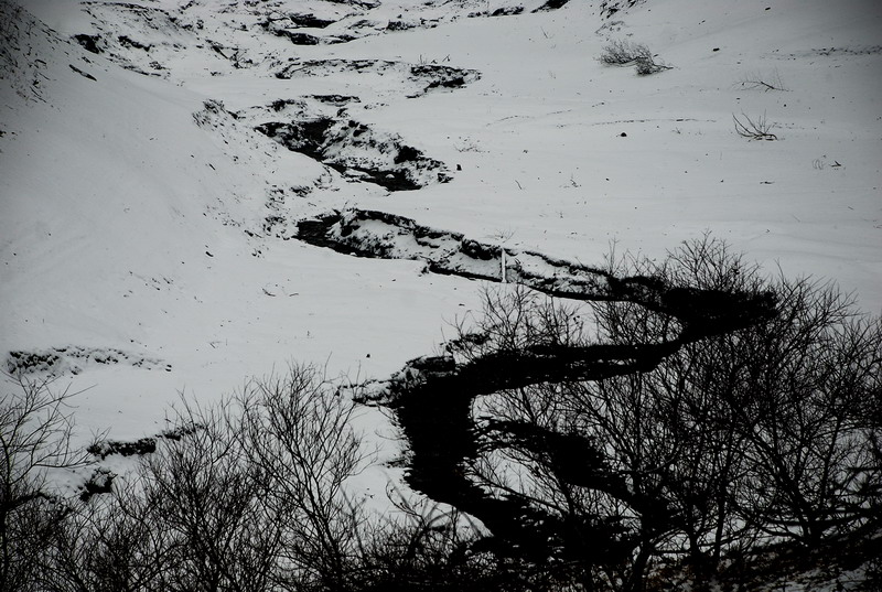 dsc_0261.jpg