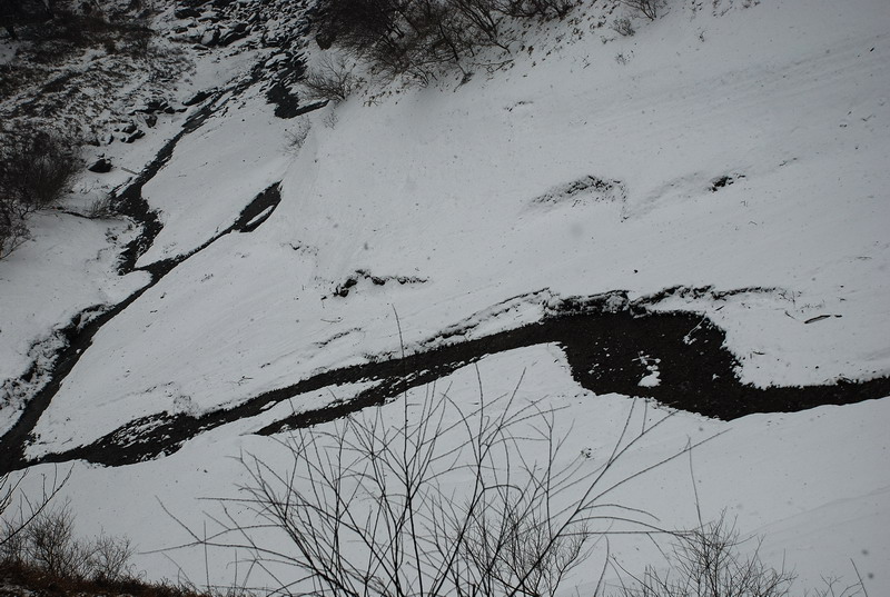 dsc_0274.jpg