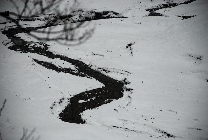 dsc_0276.jpg
