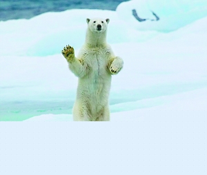 ɰı.jpg