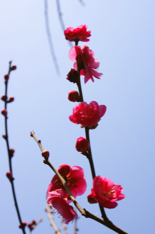 dsc00288.jpg