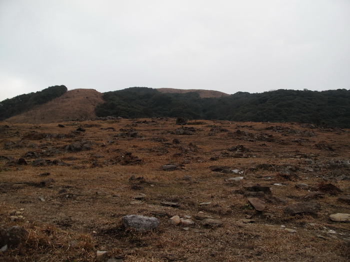 img_0130_调整大小.jpg