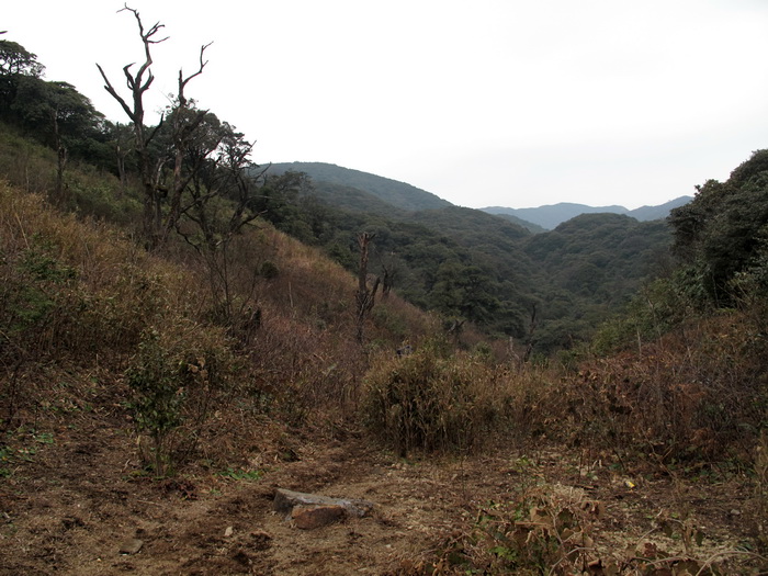 img_0122_调整大小.jpg