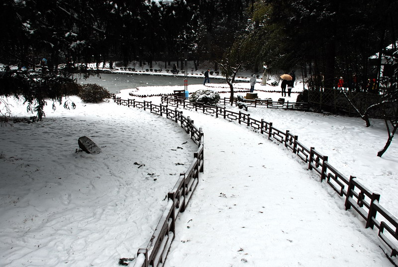 dsc_0505.jpg